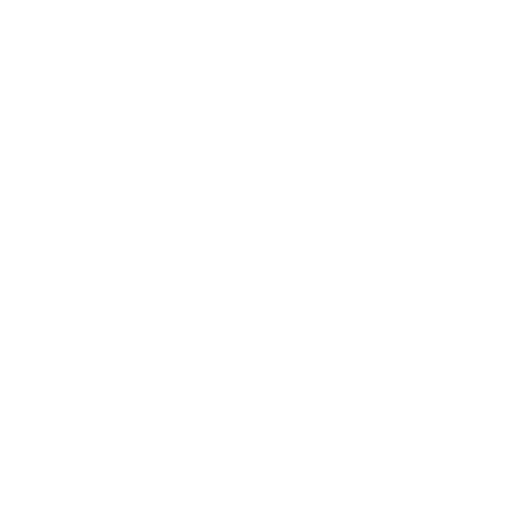 Custom Software Development