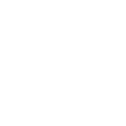 Custom Web Development