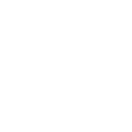 Visual Identity