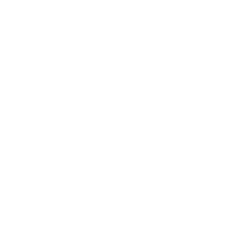 Animation