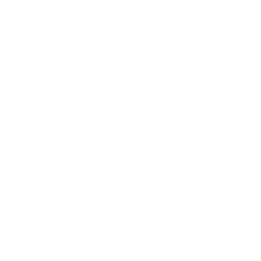 Custom Plugin Development
